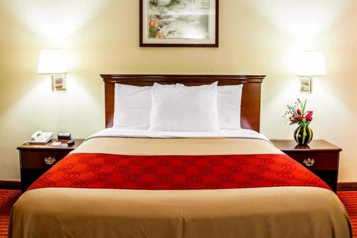 Memory foam beds, iron/ironing board, rollaway beds, free WiFi