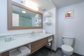 Bathroom shower - Hampton Inn Tampa-Veterans Expwy (Airport North) (Tampa)