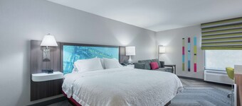 Hampton Inn Tampa-Veterans Expwy (Airport North)