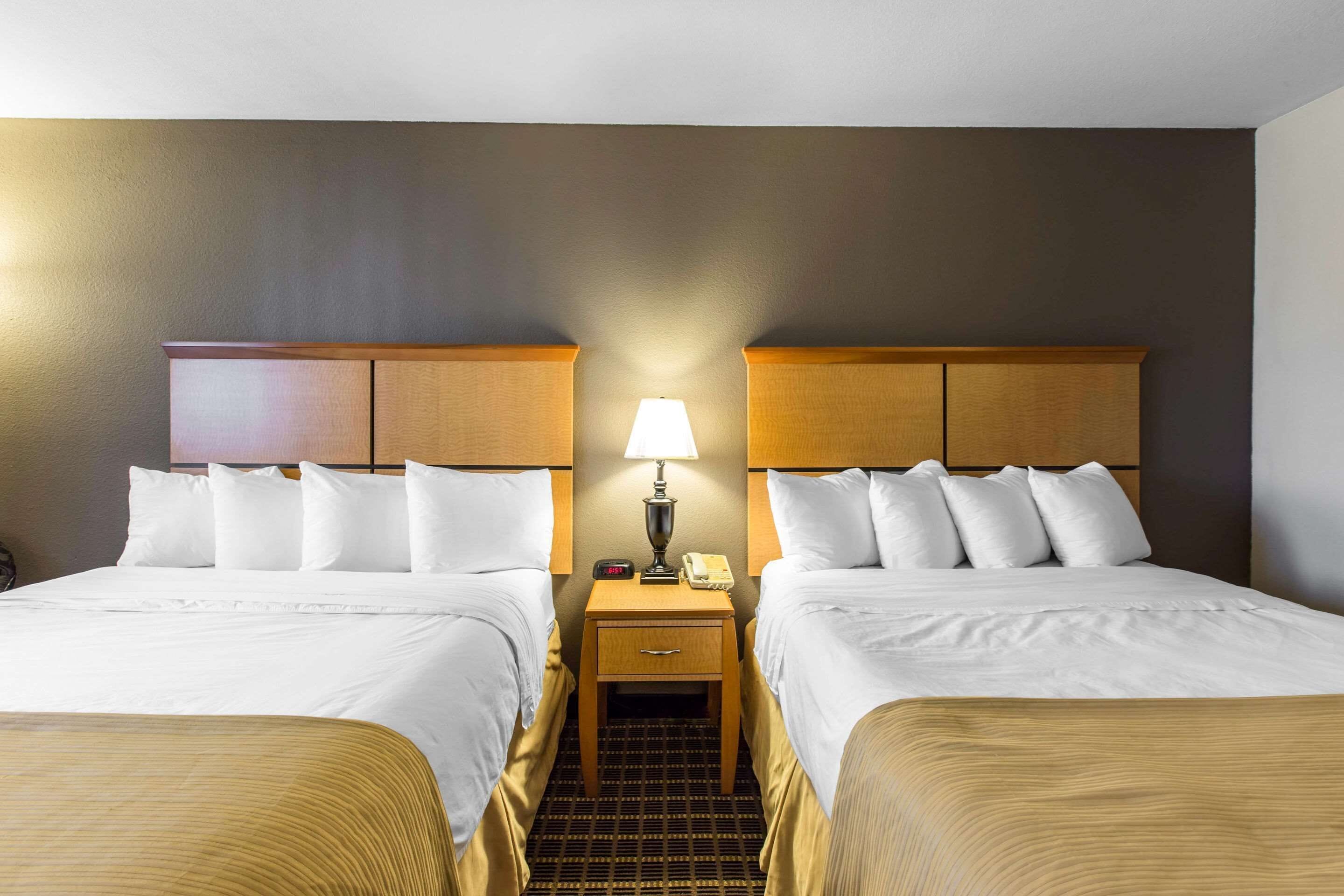 A hotel room with two beds, a nightstand with a lamp, and a phone.
