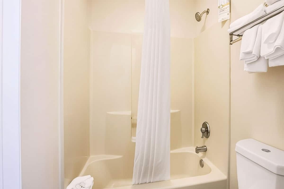 Bathroom | Combined shower/bathtub, free toiletries, hair dryer, towels