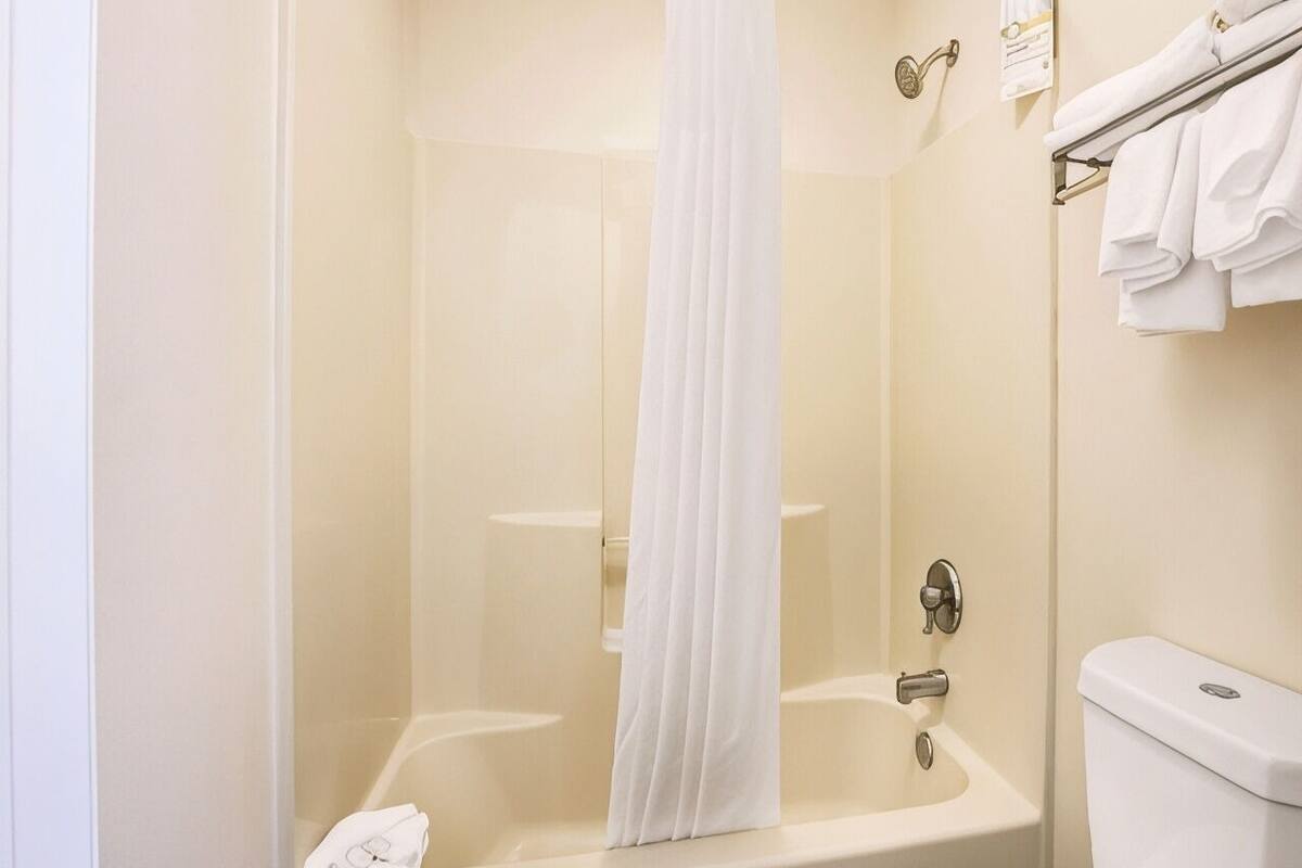 Bathroom | Combined shower/tub, free toiletries, hair dryer, towels