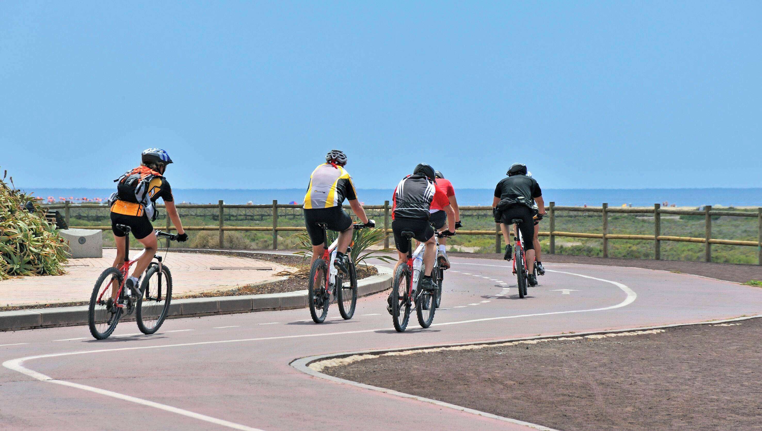 Four cyclists on a paved road with a wooden fence and a clear sky in the background.