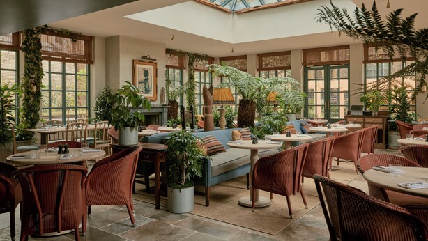 Un espace intérieur vaste et accueillant, aménagé avec différents types de sièges, notamment des tables et des chaises, et agrémenté de diverses plantes en pot.
