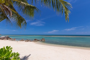 Plage privée, chaises longues, serviettes de plage, bar de plage