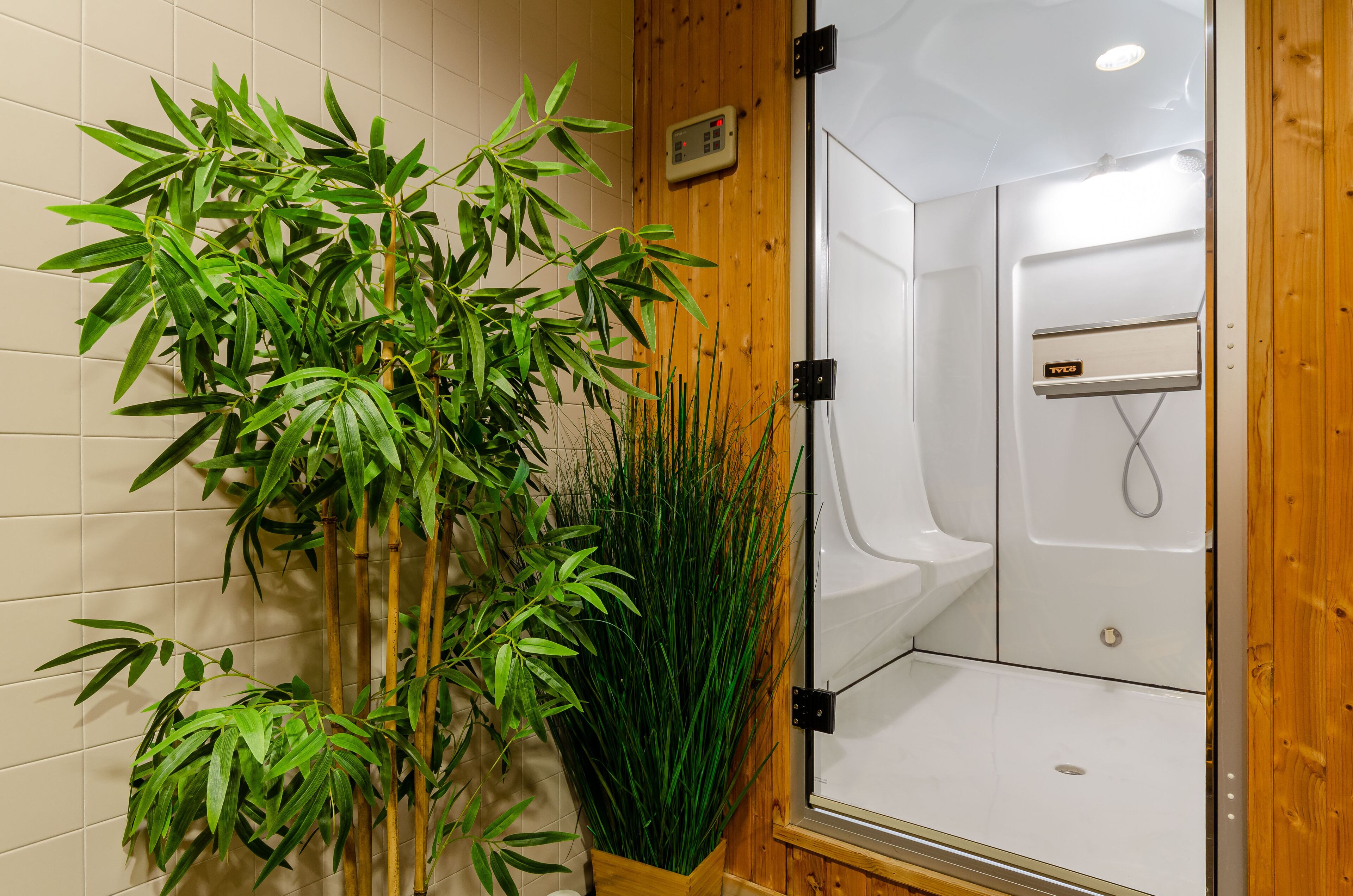 sauna, steam room, turkish bath/hammam, body treatments, body scrubs