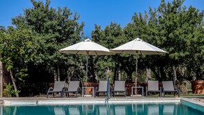 A swimming pool with lounge chairs and umbrellas, surrounded by trees.