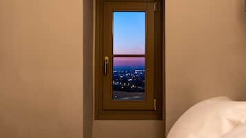 Executive Suite | View from room