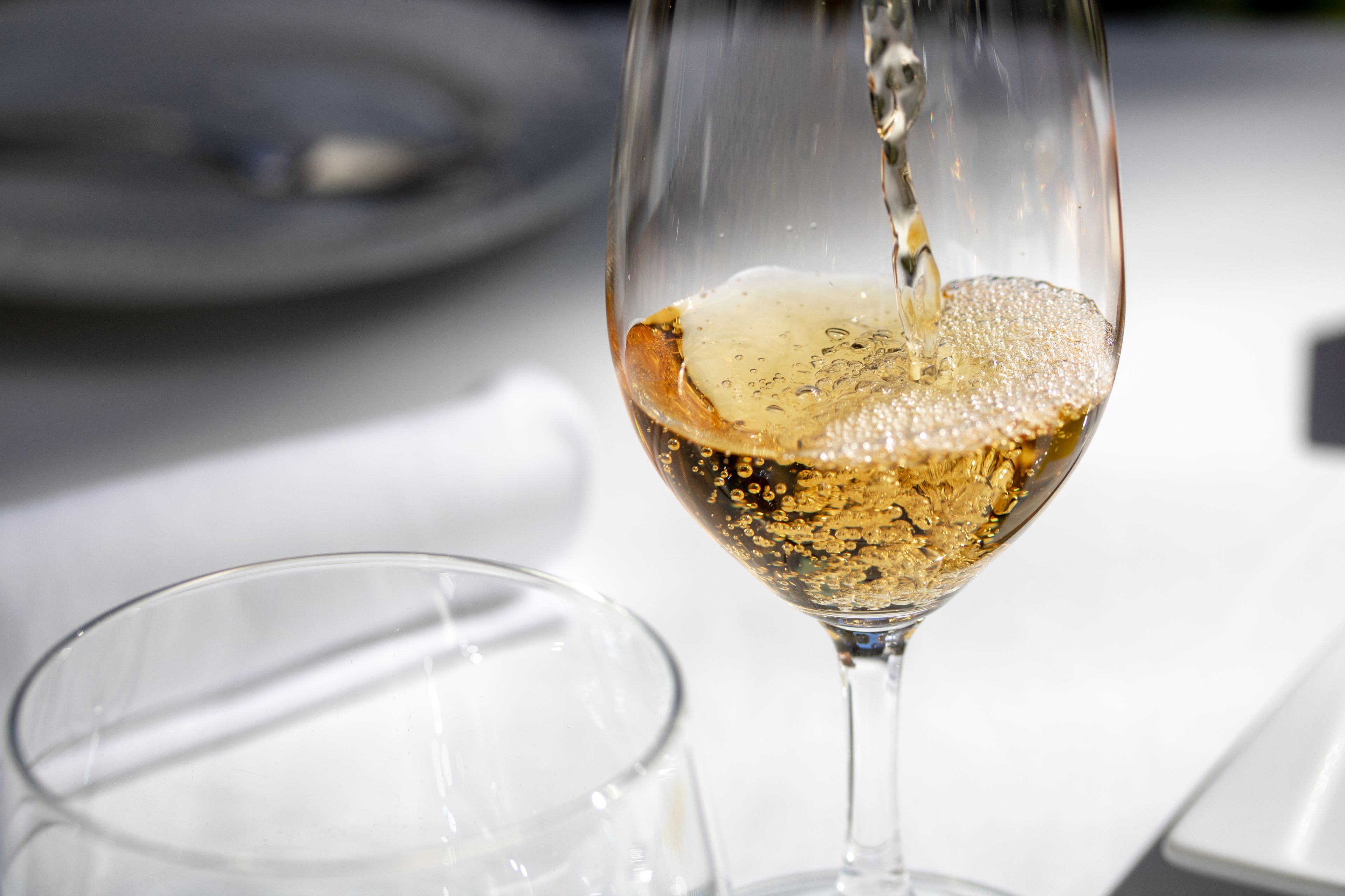 A glass of wine with bubbles, a clear glass, and a plate in the background.
