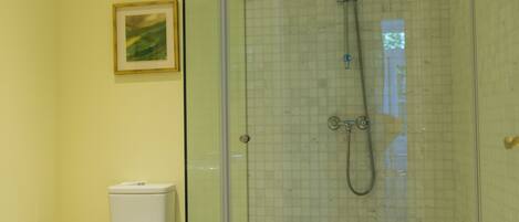 A bathroom with a glass-enclosed shower, a toilet, and a sink.