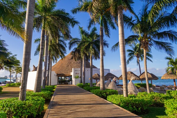 A wooden boardwalk leading to a resort area with palm trees and thatched umbrellas. - Sunset Marina Resort & Yacht Club - All inclusive (Cancun)