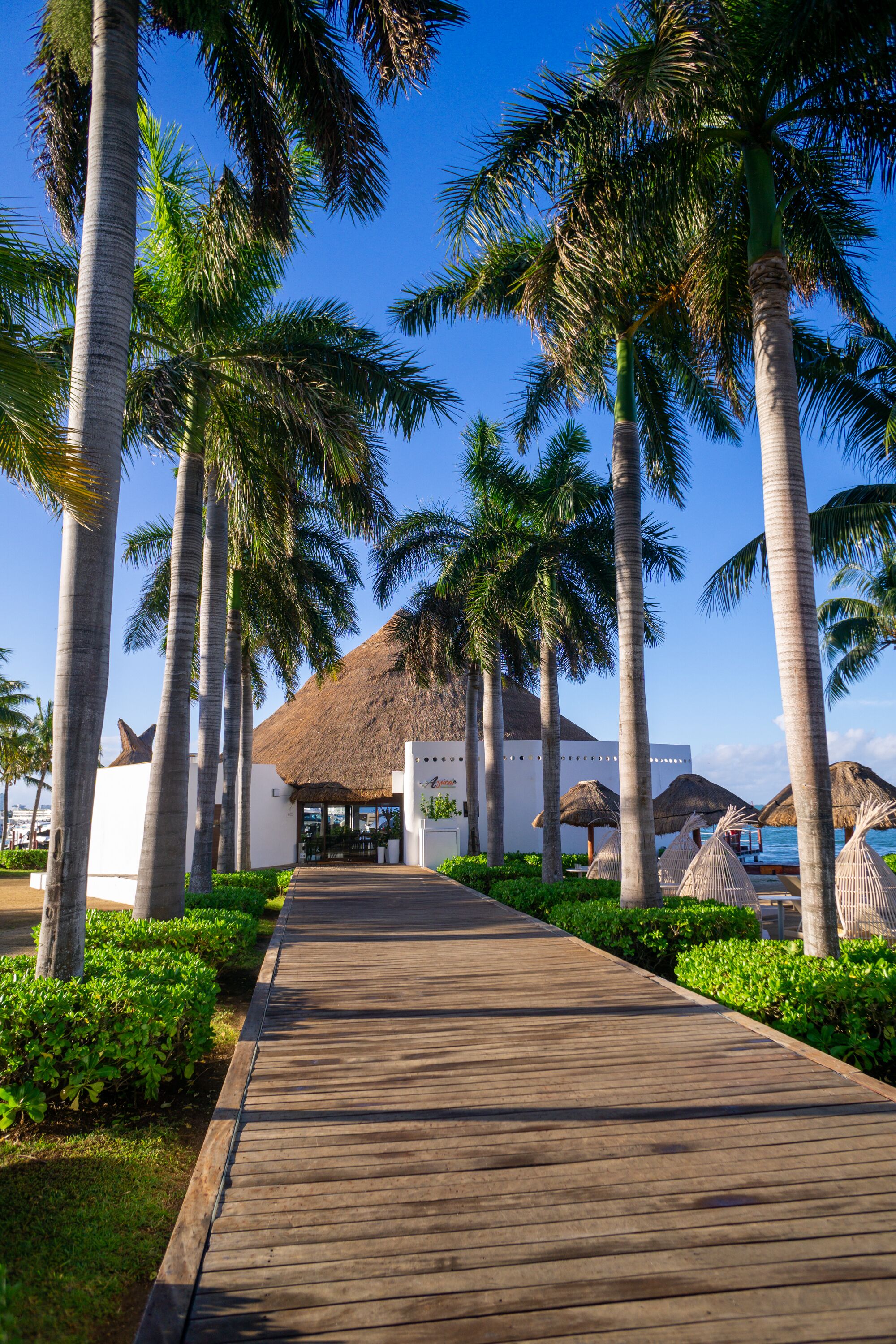 子供向けアクティビティ