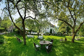 Trädgård