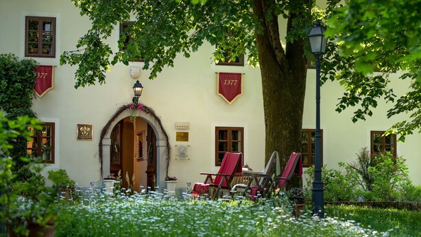 A building with a large tree in front, a red banner with the number 1377, and a chair under the tree. - Hotel Kendov Dvorec (Idrija)