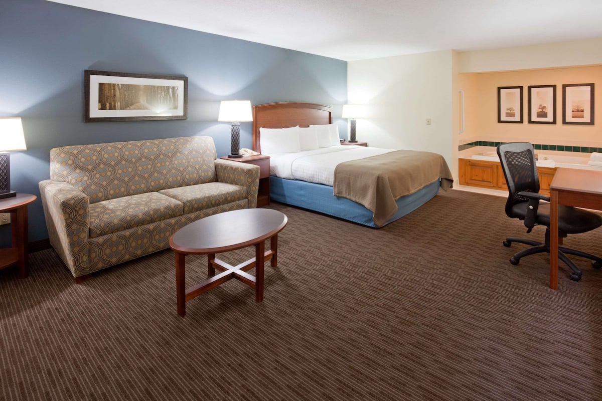 A hotel room with a bed, a sofa, a small table, a desk, and a chair.