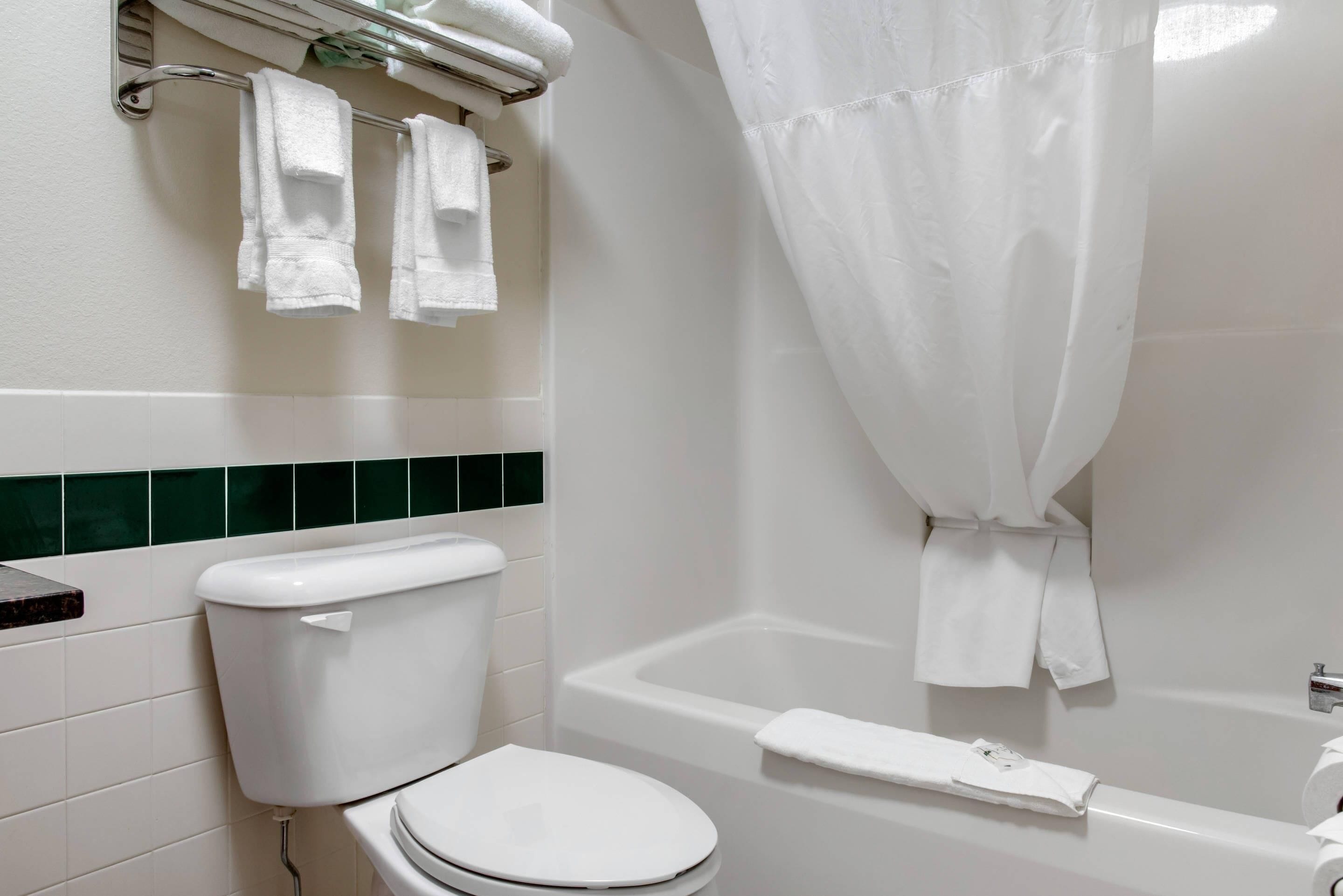 A bathroom with a toilet, a bathtub, and a shower curtain.