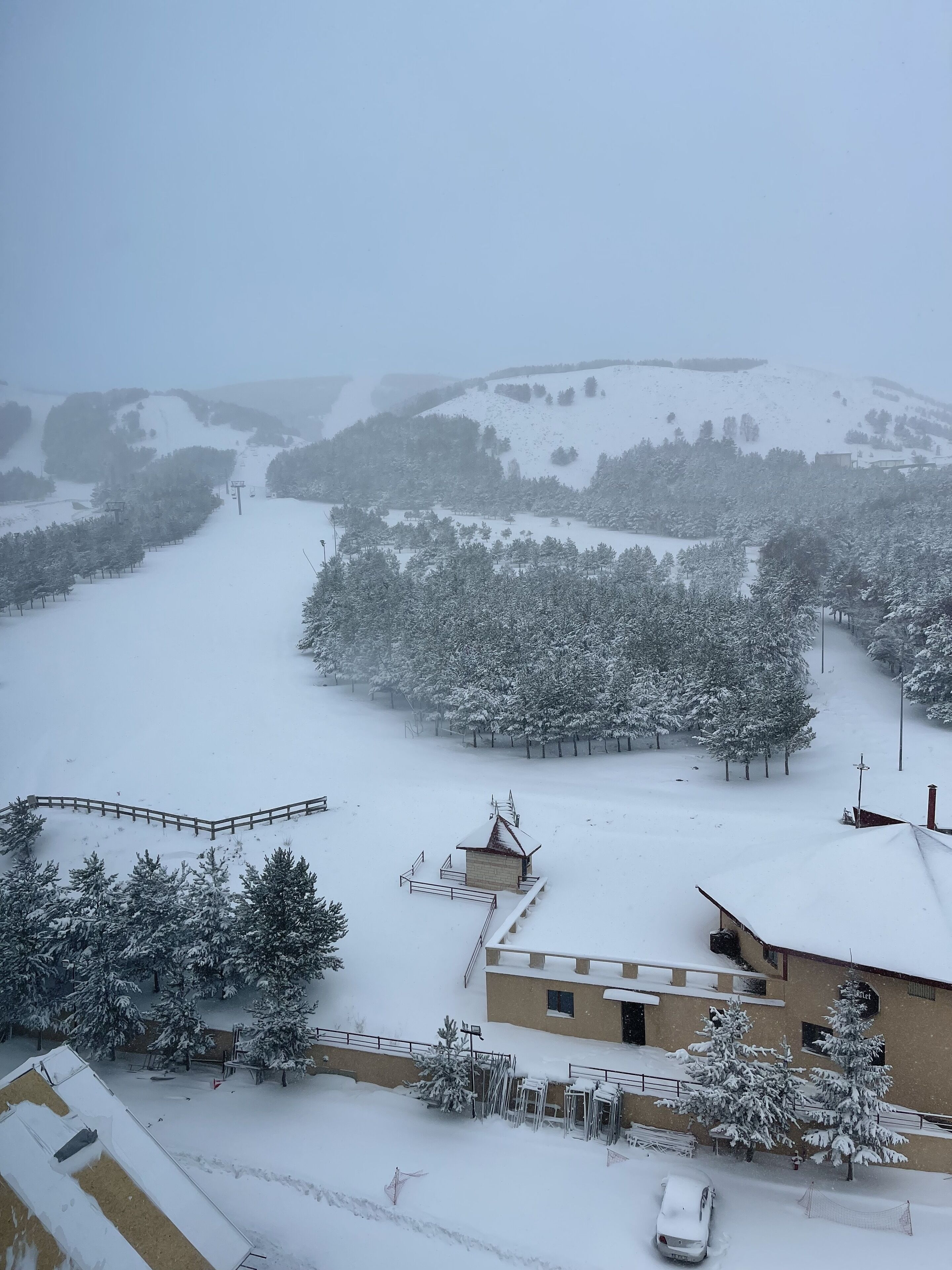 deluxe twin room, 2 single beds | view from room