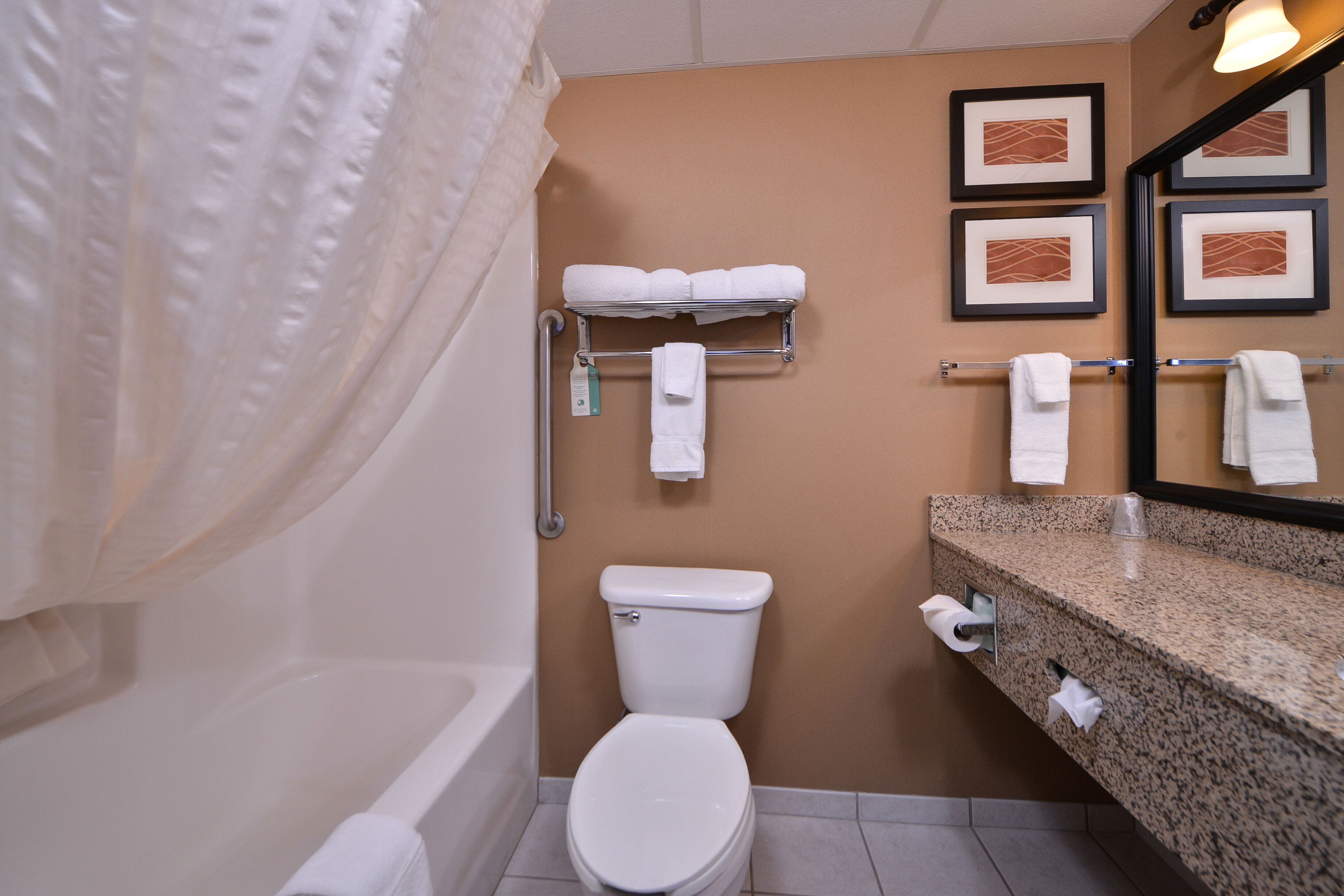 combined shower/bathtub, hair dryer, towels