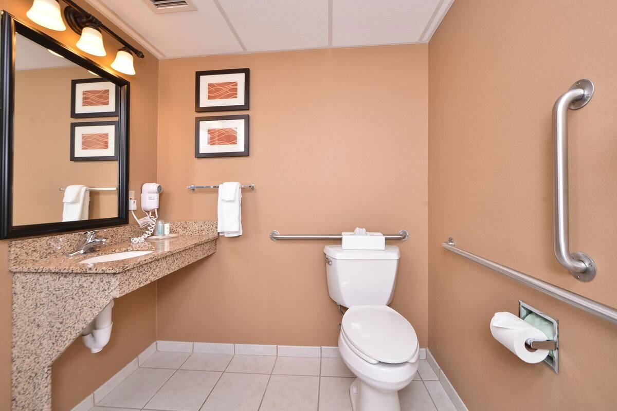 Ein Badezimmer mit Waschbecken, Spiegel, Toilette und Handläufen.