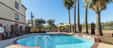 Una piscina con borde de ladrillo, rodeada de palmeras y un muro de ladrillo.