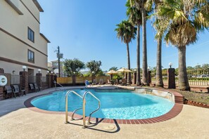 A swimming pool with a brick border, surrounded by palm trees and a brick wall.