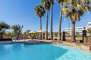 A swimming pool with lounge chairs and umbrellas, surrounded by palm trees and a brick wall.