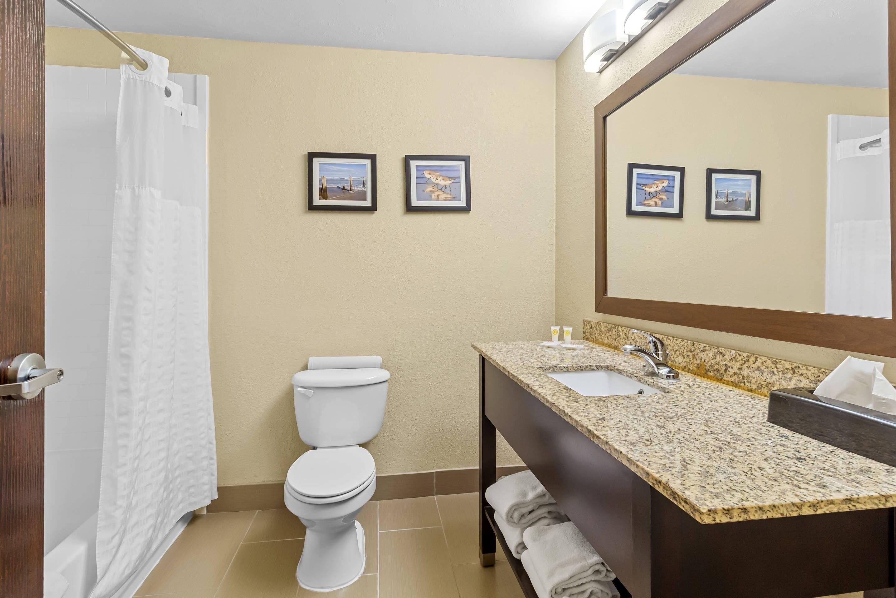 Un baño con inodoro, lavamanos y cortina de ducha. Hay dos cuadros en la pared.