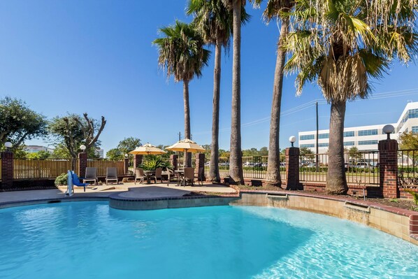 Outdoor pool, sun loungers