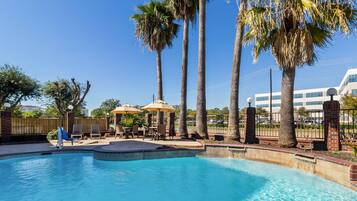 Outdoor pool, sun loungers