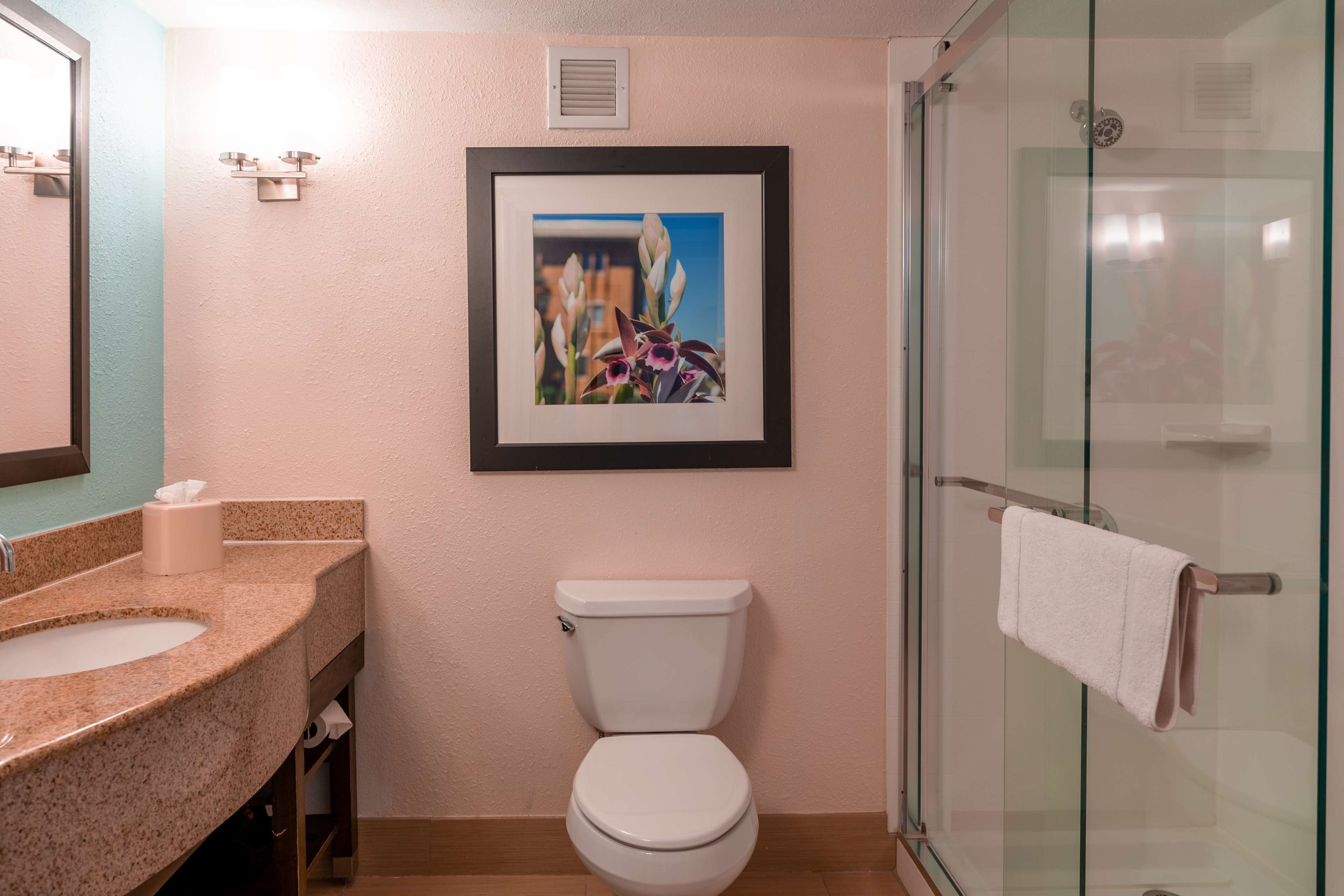 Foto - Hilton Garden Inn Orlando East - UCF Area