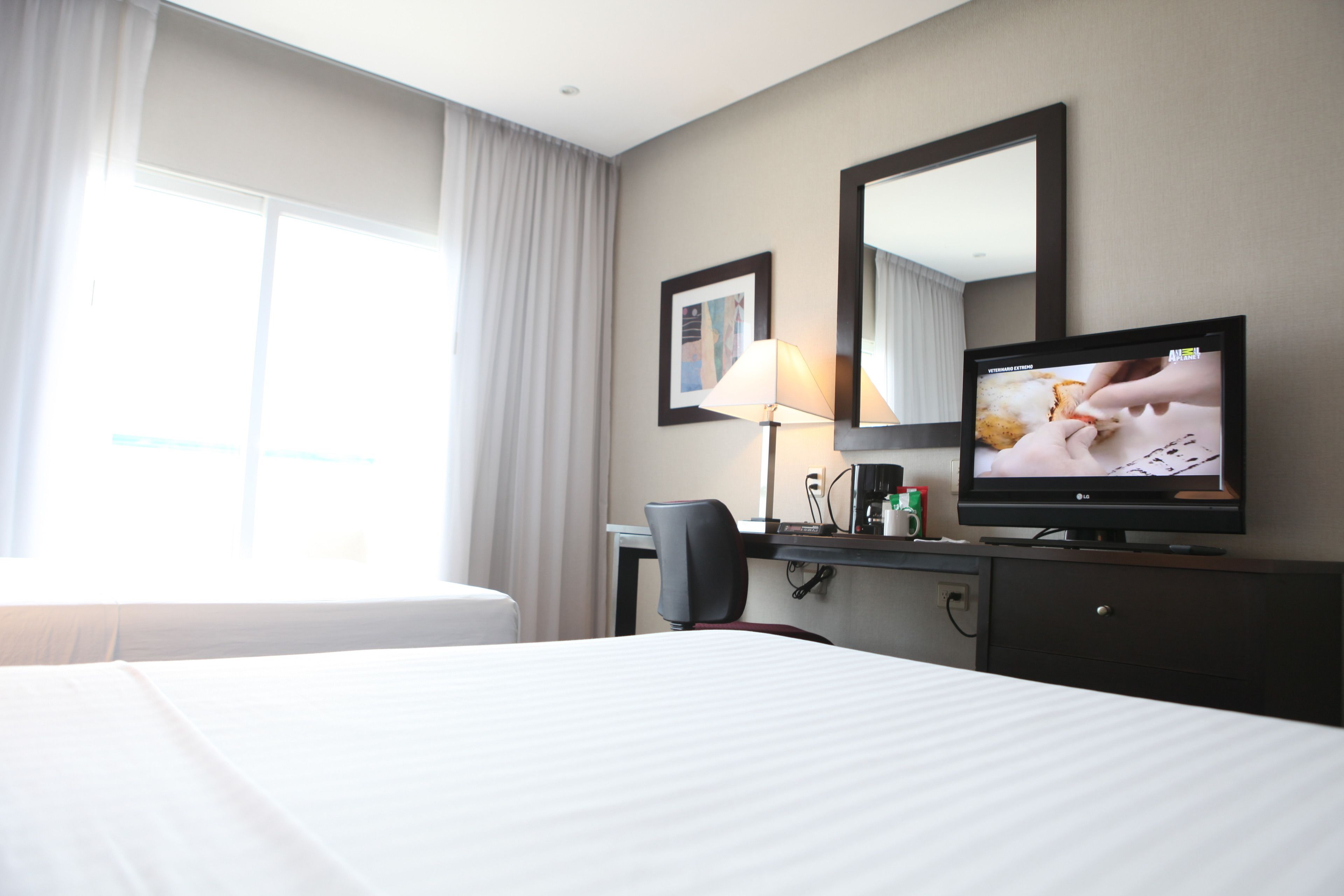 A hotel room with a bed, a desk, a chair, a TV, a lamp, and a window with curtains.