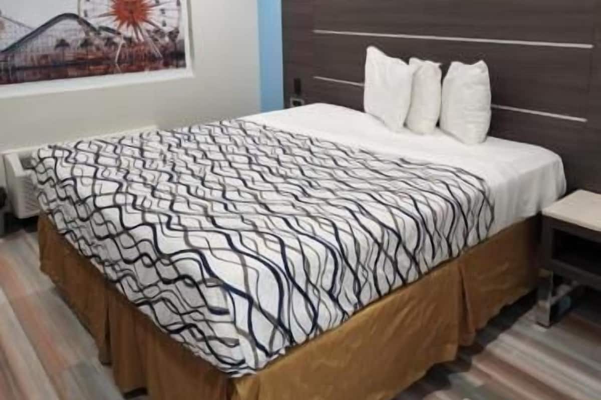 Desk, free WiFi, bed sheets