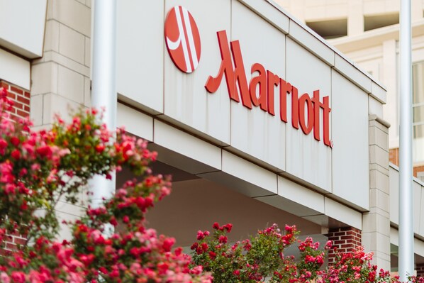 Señal de un hotel Marriott con diseño moderno, rodeada de flores rosadas en flor.