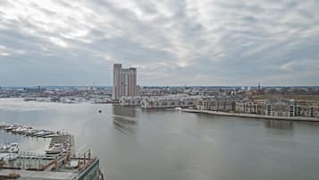 Vista desde la habitación