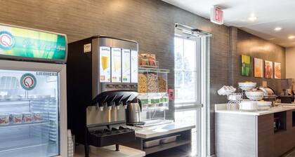 Quality Inn & Suites Ashland near Kings Dominion