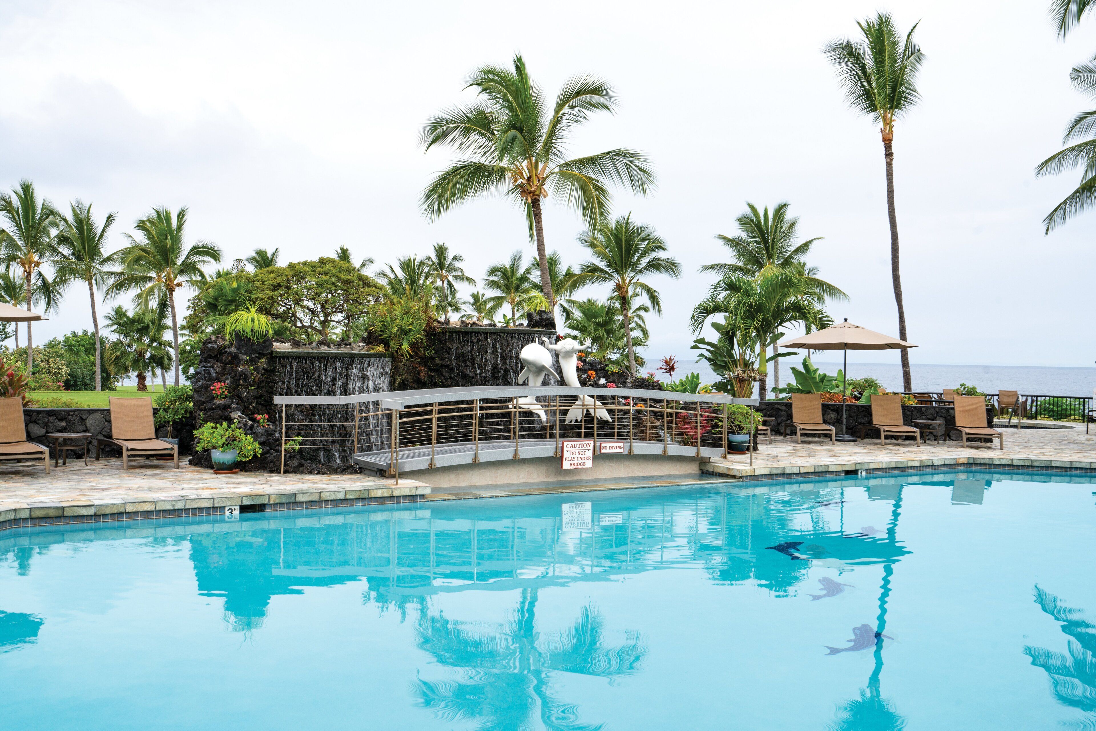 A swimming pool with lounge chairs and palm trees.