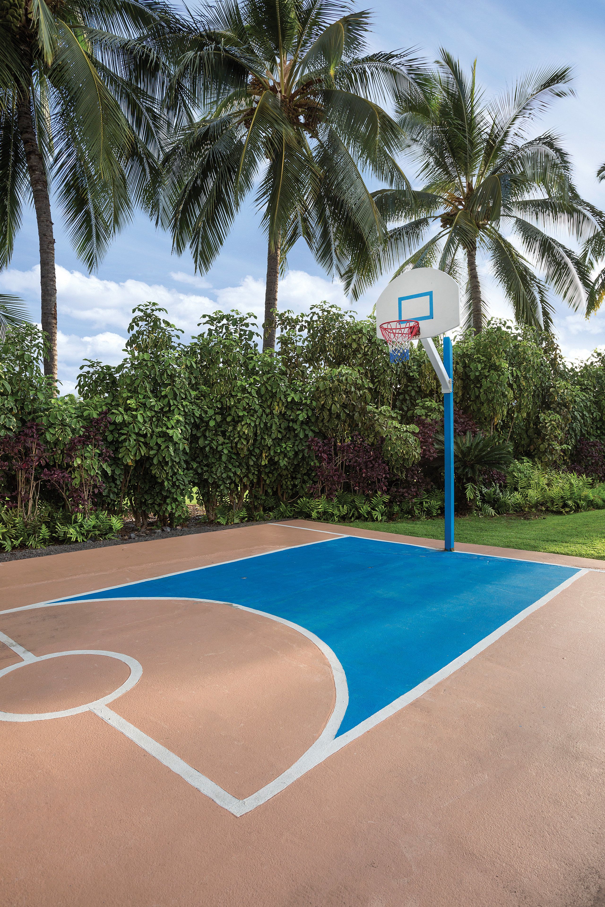 Un terrain de basket en plein air doté d’une surface de jeu bleue, entouré d’une végétation luxuriante et de palmiers.
