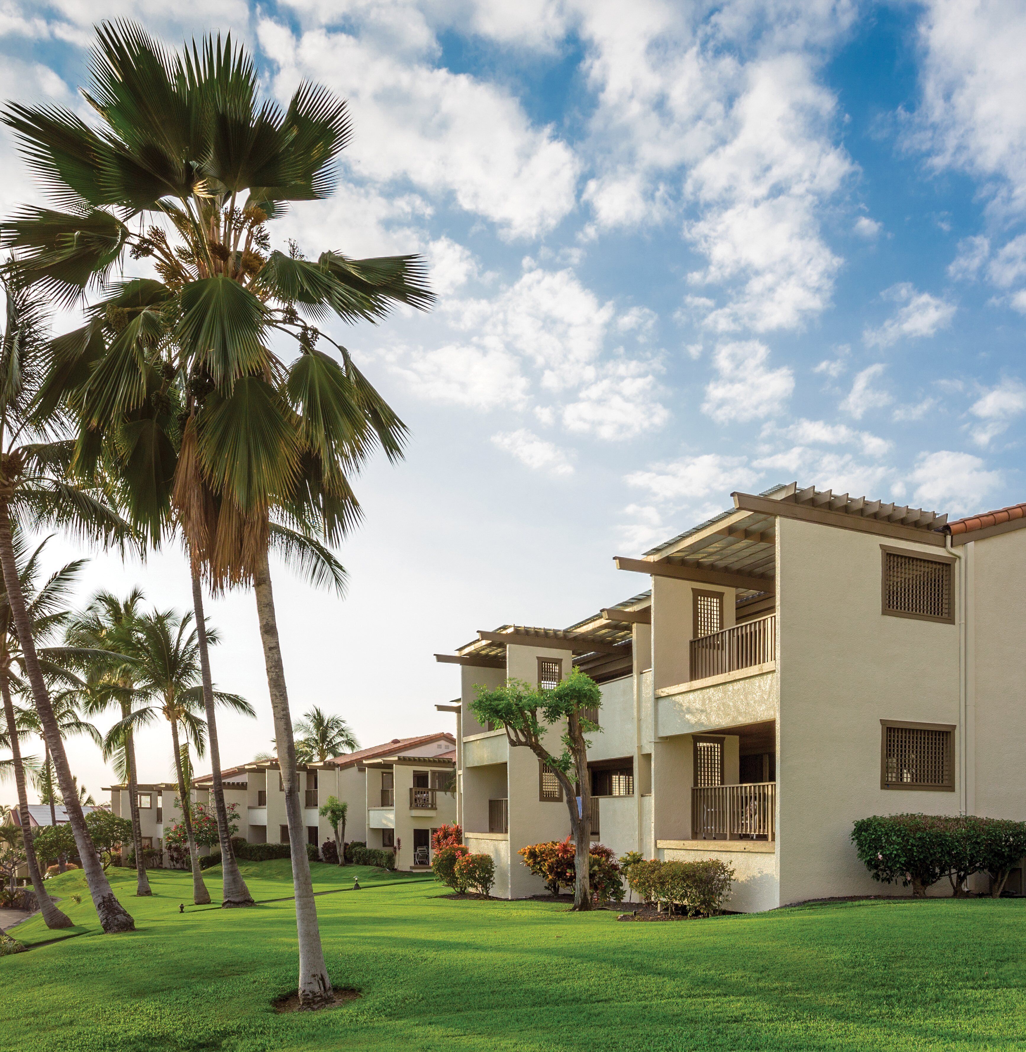 A hotel with multiple-story buildings, a well-maintained lawn, and palm trees.