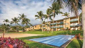 A hotel with a pool, palm trees, and a volleyball court.