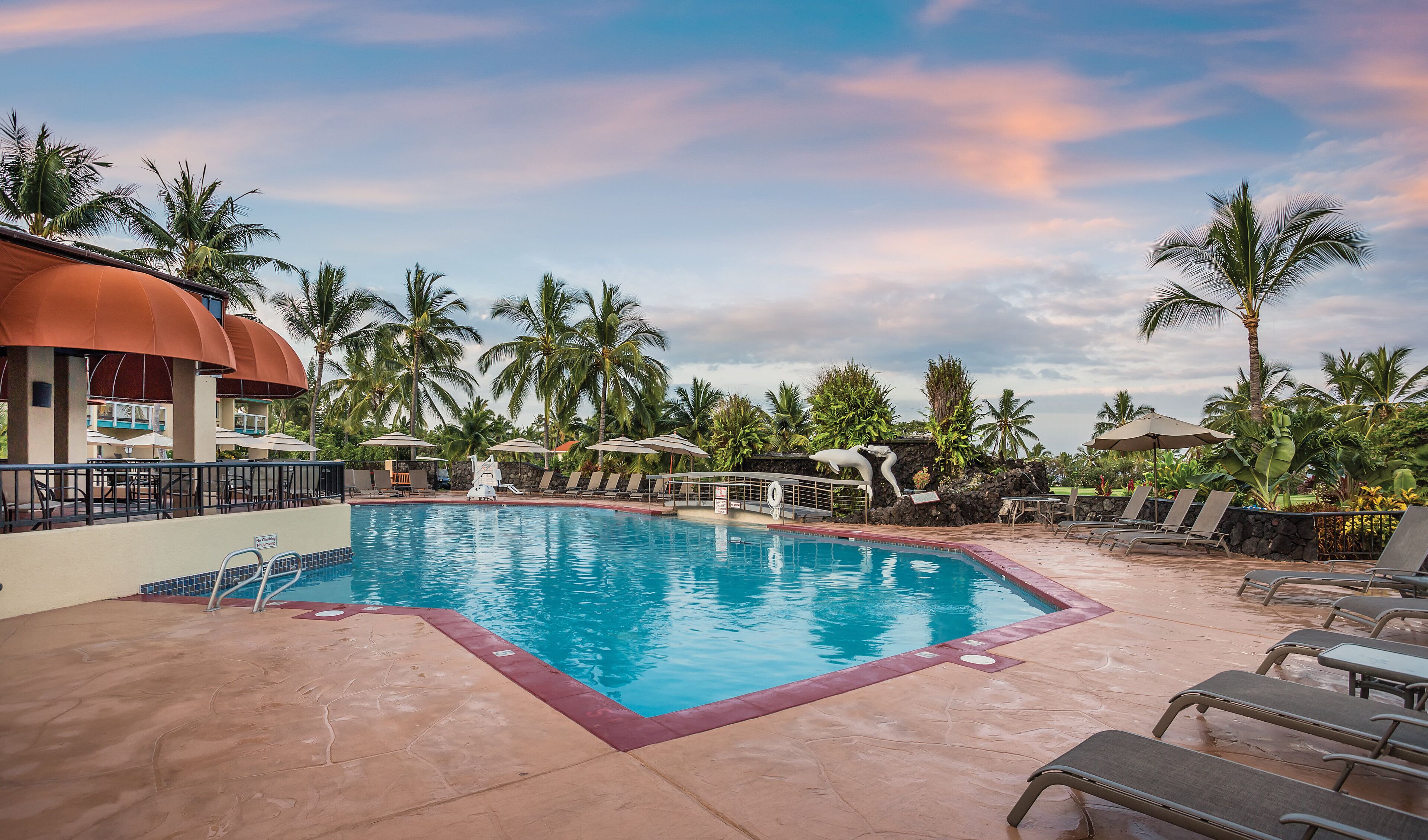 A swimming pool with lounge chairs and umbrellas, surrounded by palm trees.