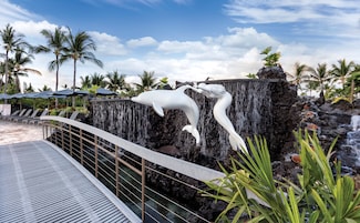 A water feature with a dolphin sculpture, a pool area with lounge chairs, and palm trees in the background.