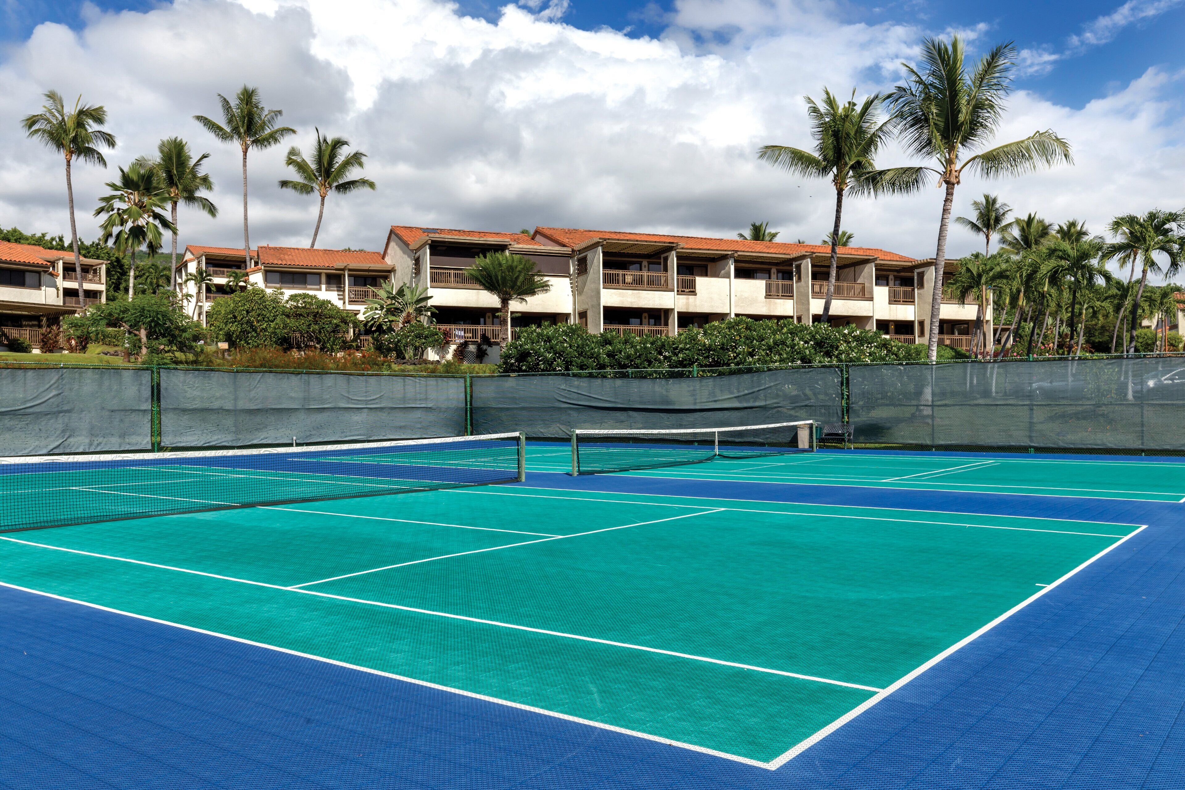 A tennis court with a net, surrounded by a fence, and palm trees in the background.