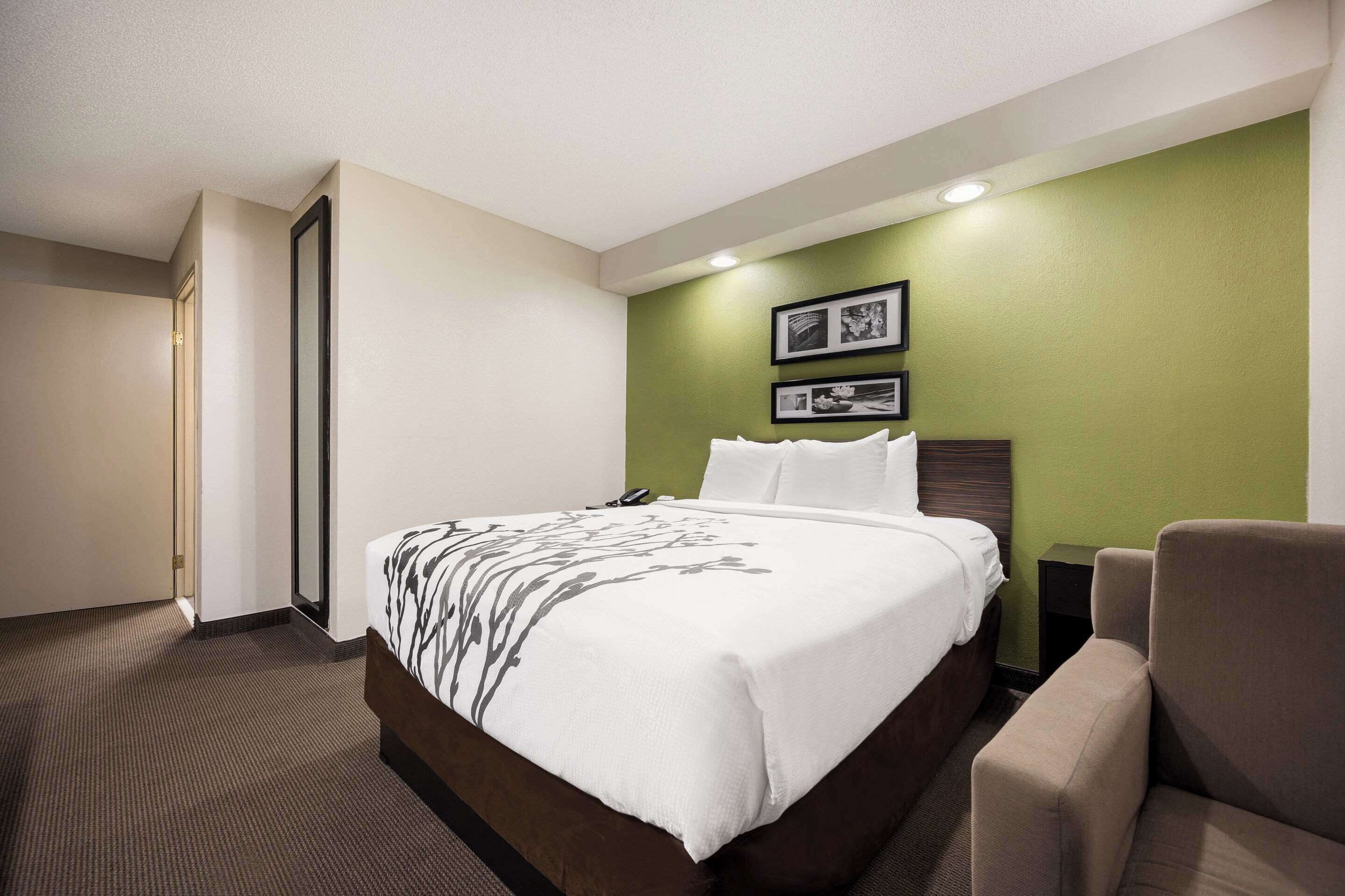 Room, 1 Queen Bed, Non Smoking
