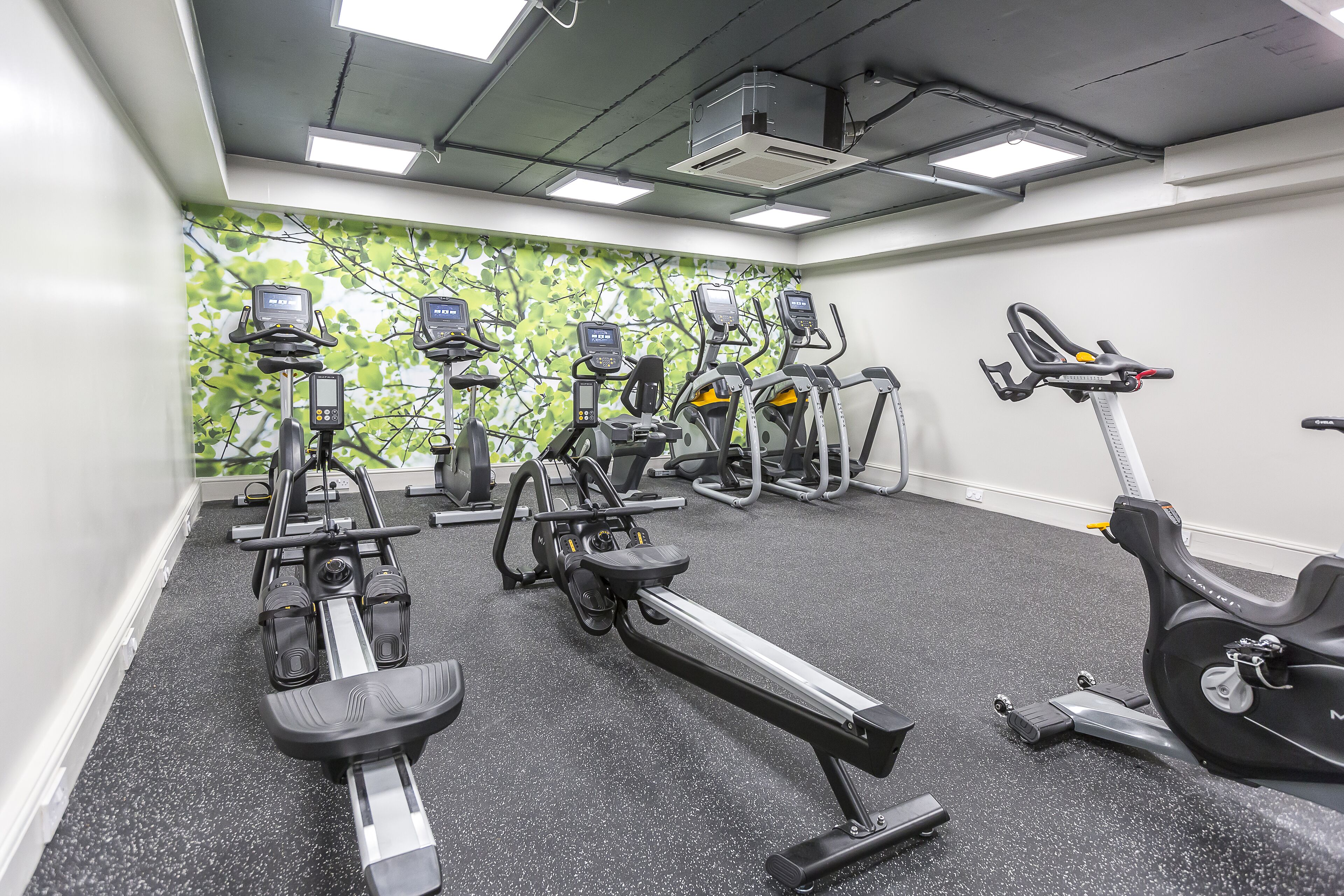 A gym with stationary bikes, treadmills, and elliptical machines.