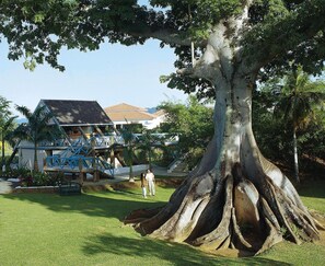 Unclassified image, 2 of 91, button - Grand Lido Negril All-inclusive - Adults Only (Negril)