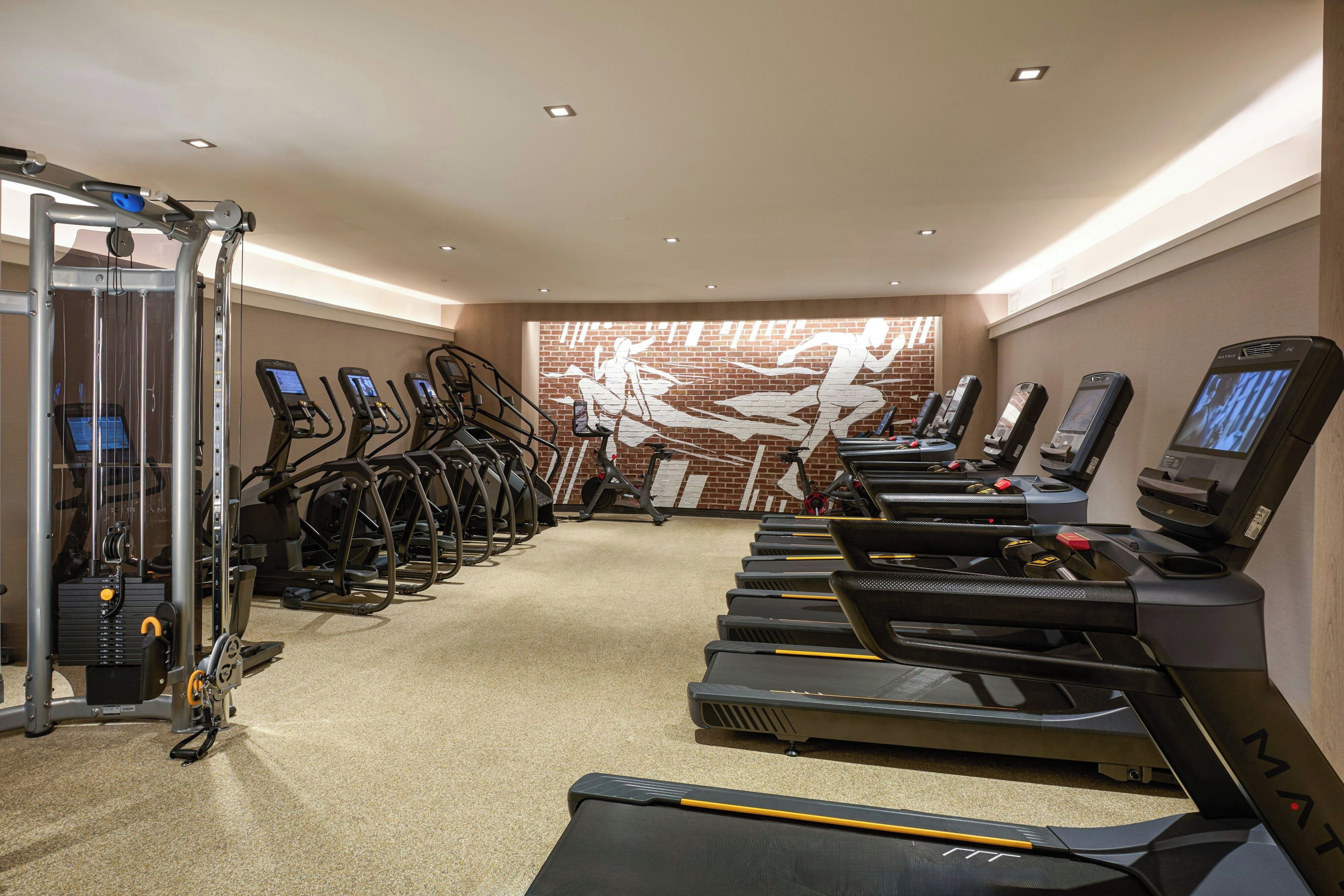 A gym with treadmills, elliptical machines, and weight machines.