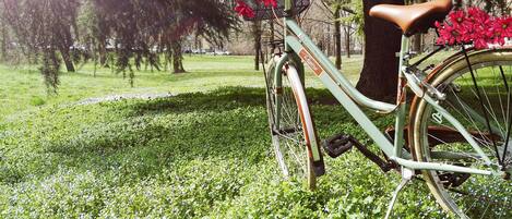 Una bicicleta antigua con canasta y flores, estacionada en un área verde con árboles al fondo.