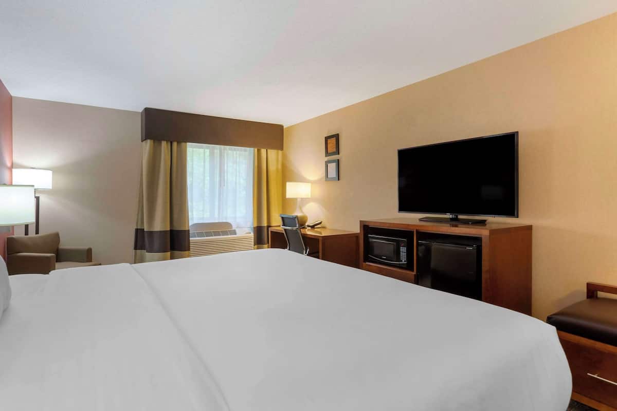 A hotel room with a large bed, a television, a desk with a chair, a microwave, and a small refrigerator.