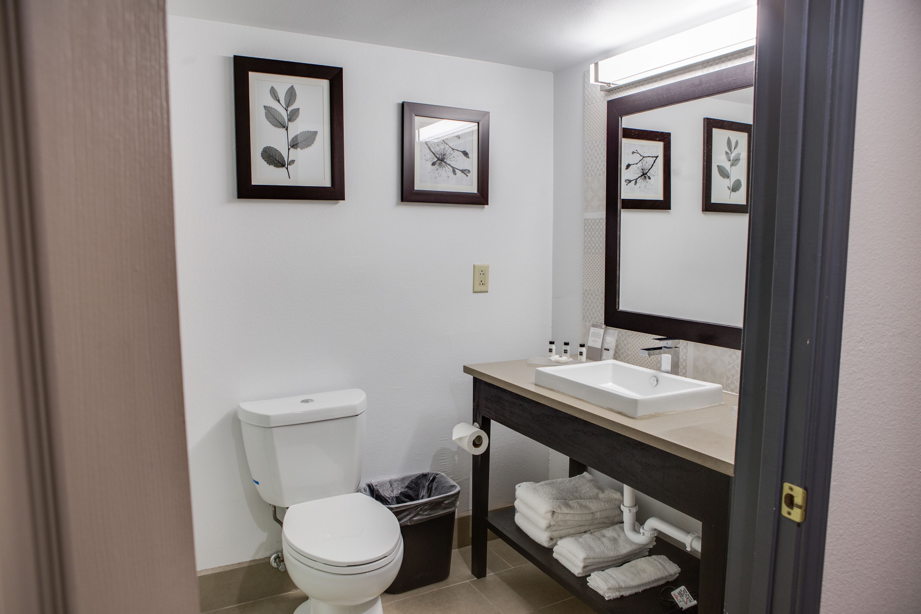 combined shower/bathtub, free toiletries, hair dryer, towels