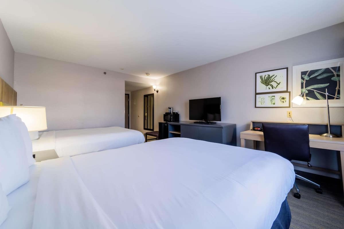 A hotel room with two beds, a desk, a chair, a television, and framed botanical artwork on the wall.